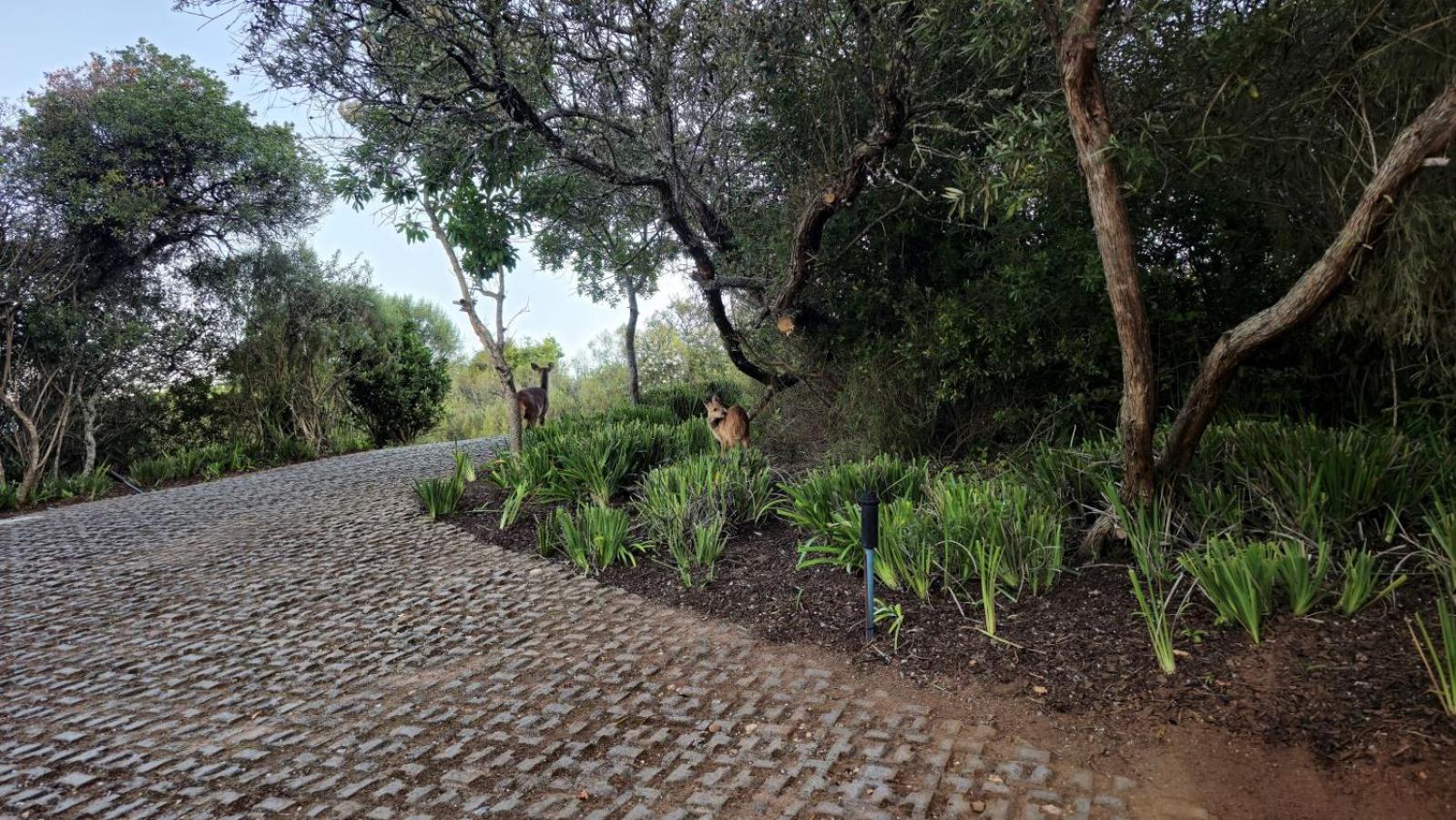 Oubaai Villa By Raw Africa Collection Herolds Bay Εξωτερικό φωτογραφία